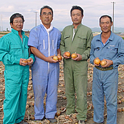 玉葱生産者 玉葱生産者
