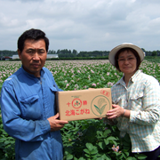 馬鈴薯生産者 馬鈴薯生産者