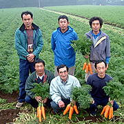 人参生産者 人参生産者